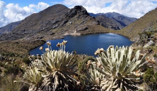 Asamblea pide medidas cautelares para salvar el Páramo de Santurbán