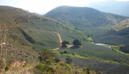 COMISIÓN ACCIDENTAL CONTINÚA ANALIZANDO PROBLEMÁTICA DE CHOCOA EN GIRÓN