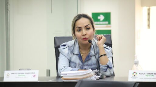 La Honorable Diputada, Marggy Carolina Rangel Bueno, del Partido Cambio Radical fue la ponente del Proyecto de Ordenanza 045 de 2022 que se aprobó en segundo debate.