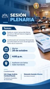 Afiche Oficial Sesión Plenaria Ordinaria - 20 de Octubre de 2026